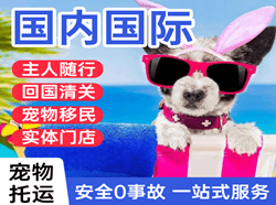 威海大水泊航空快运国际宠物托运 【国